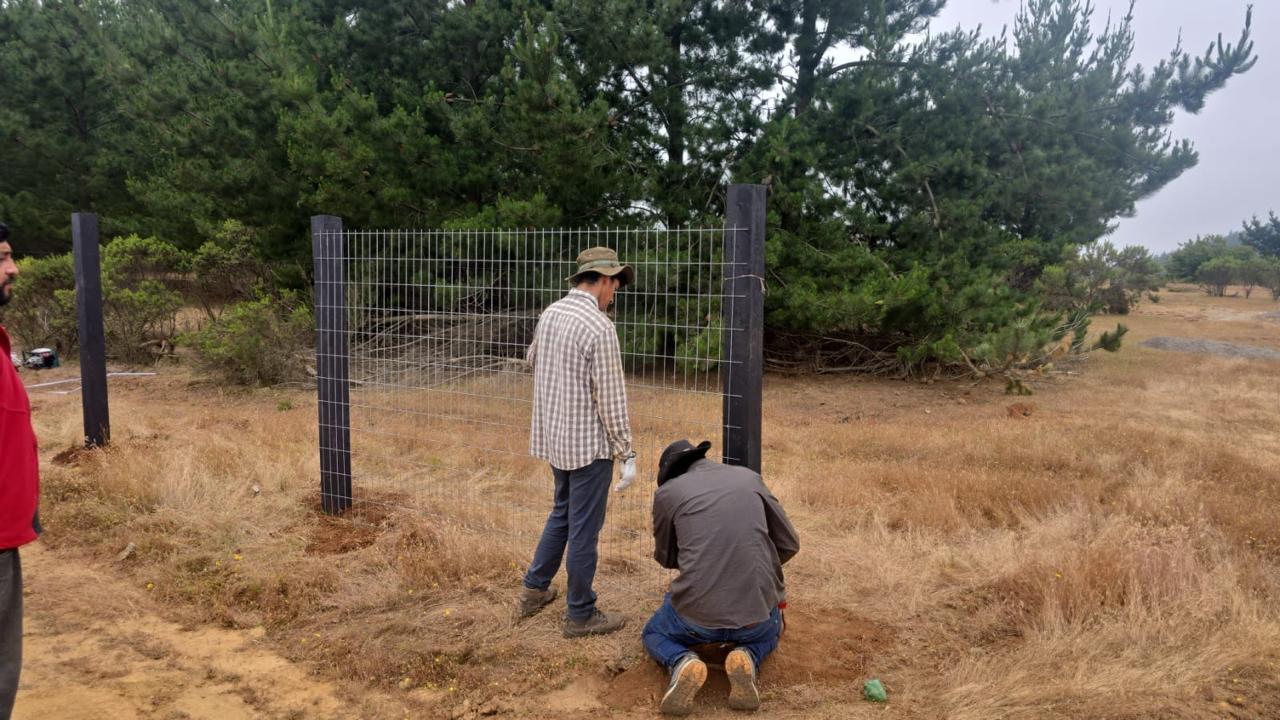 Equipo instalando cerco de malla en parcela VI Región